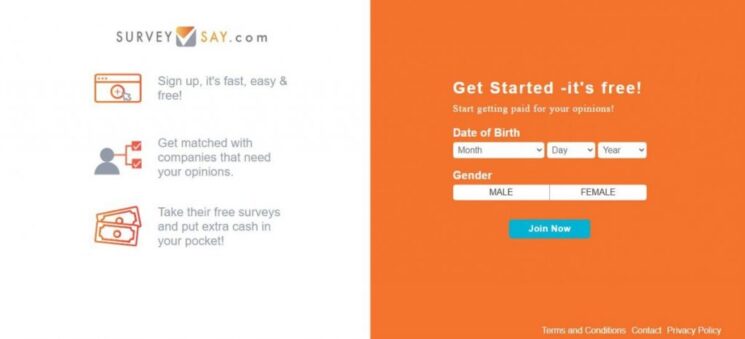 Surveysay Review