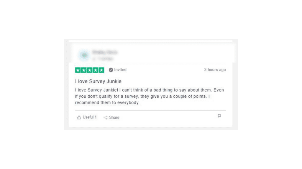 SurveyJunkie User Reviews