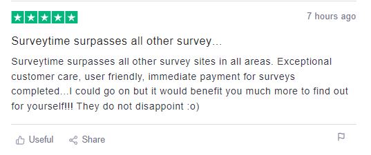 Surveytime User Reviews