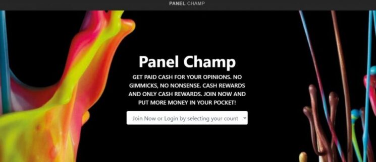 Panel Champ Review