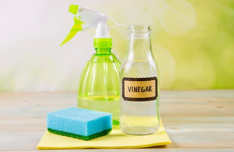 Vinegar For Cleaning